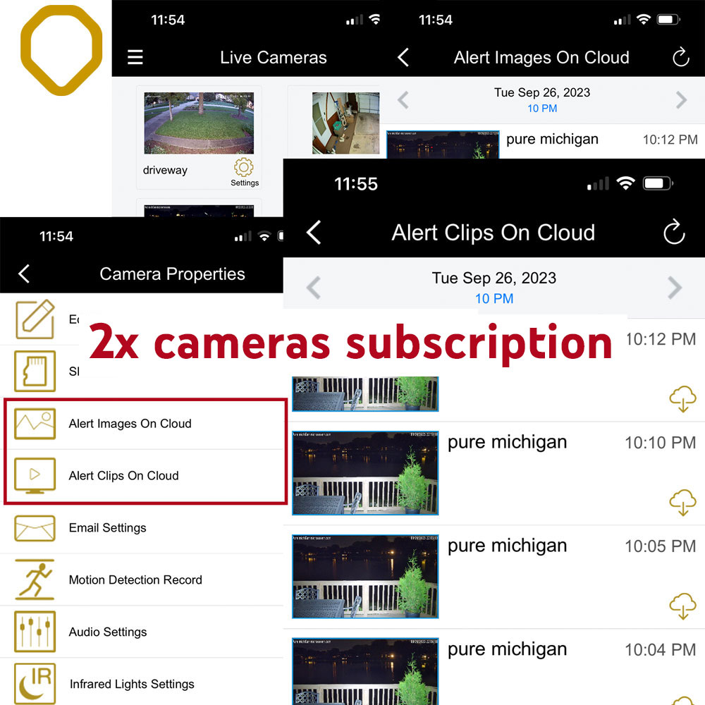 Cloud Storage for 2 Cameras, 30 Days Storage - Save Alert Images and Clips